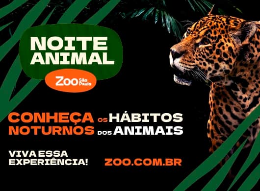 Noite Animal - Zoo SP
